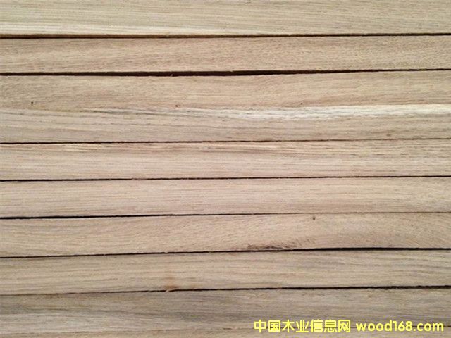 �W���M�ڰ���ľ��ľ��� �Ҿ���