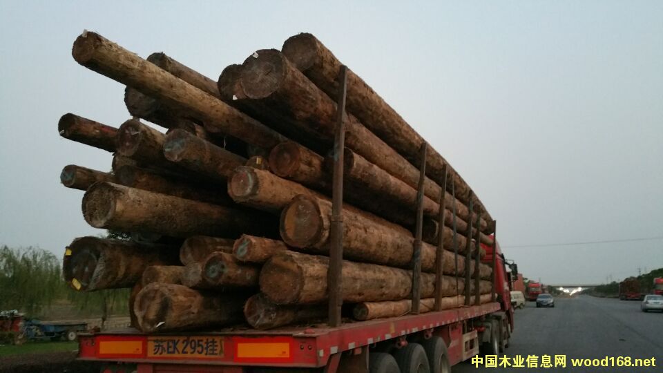 ľ���b܇��Ƭ