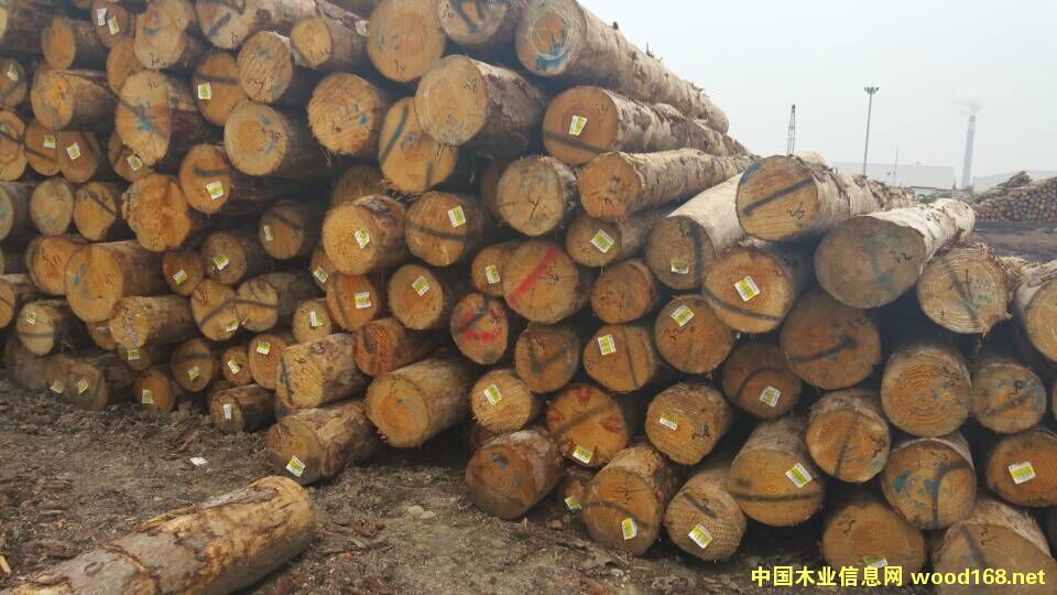 �����mݗ����