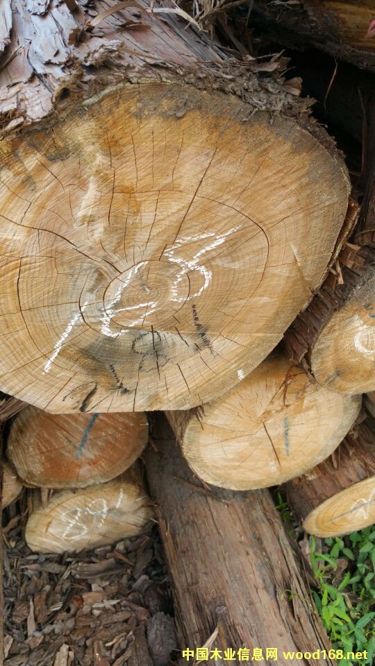 �������ԭľ