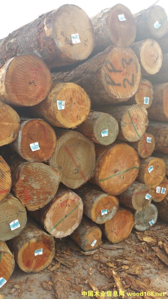 �����m������