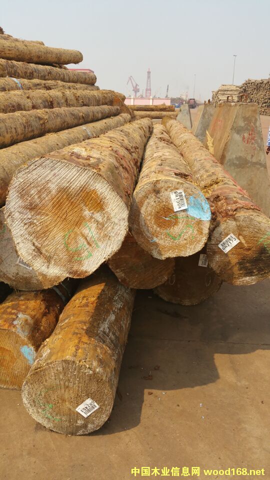 �����S��