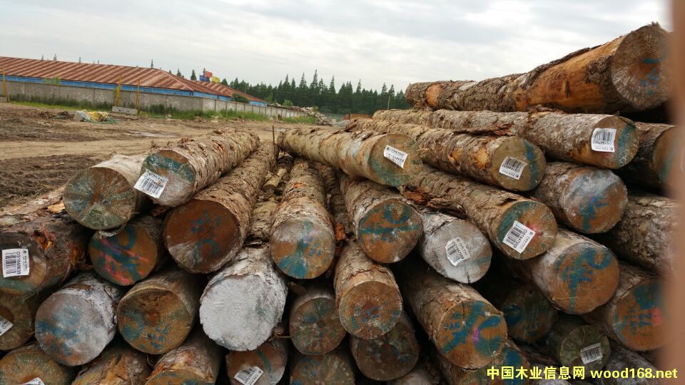 ����4�׼���