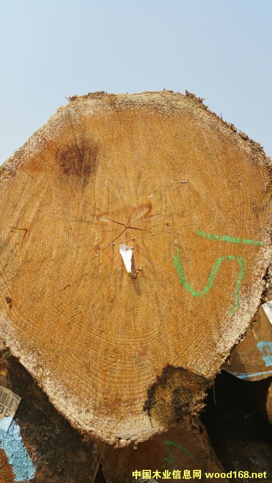 �����S��