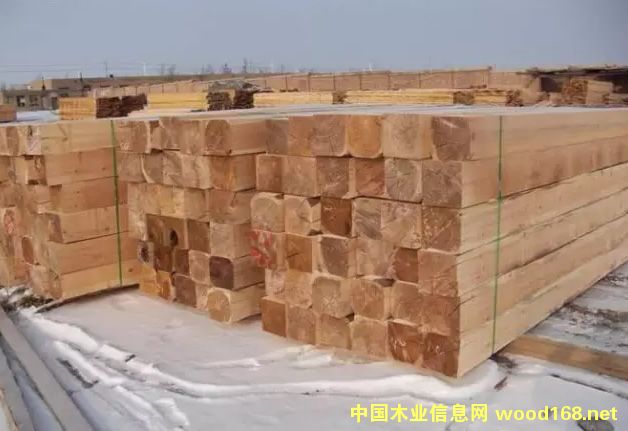 �½�����ɽ���ɭľ�I����ע���_˹ľ��15��