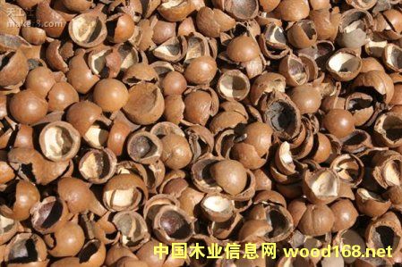 Ϥ���W(xu��)�о���3D��ӡ����(ji��n)����׃?y��u)顰ľ�ġ?><br>
                      <font size=3><b>Ϥ���W(xu��)�о���3D��</b></font></a></div>
                  </td>
                </tr>
                 
                <tr> 
                  
                <td height=