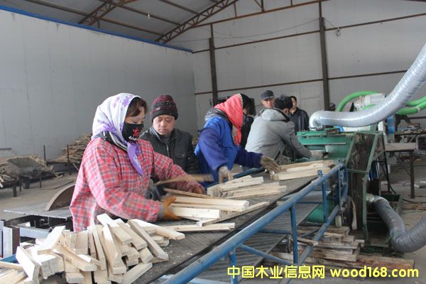 �����������h���ߝM���(zh��n)��ӹ�ľ��6�f������