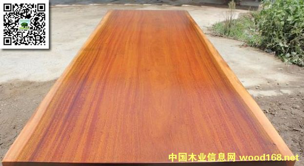 ���ފW�����