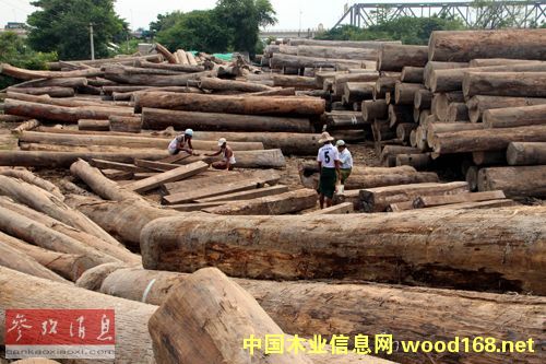 �о��Ƿ�ľ���Q�����ӽ�ʮ��ǰ픷�