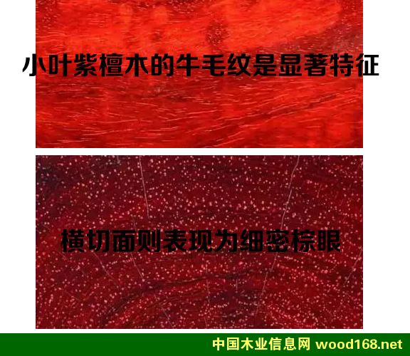 С�~��̴ľ��ţë�y����(x��)������