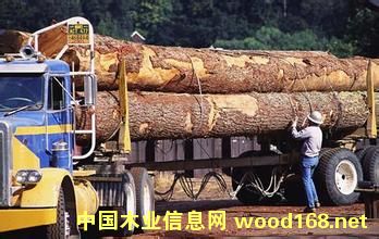 �����mԭľ