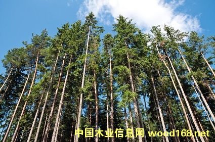 PEFC�J�C�����m�֘I(y��)Ӱ����h