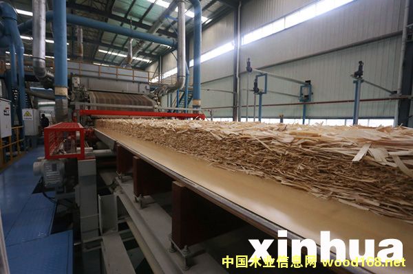 ���������²�COSB�ߏ��ȶ���Y�����Ŀ���a��