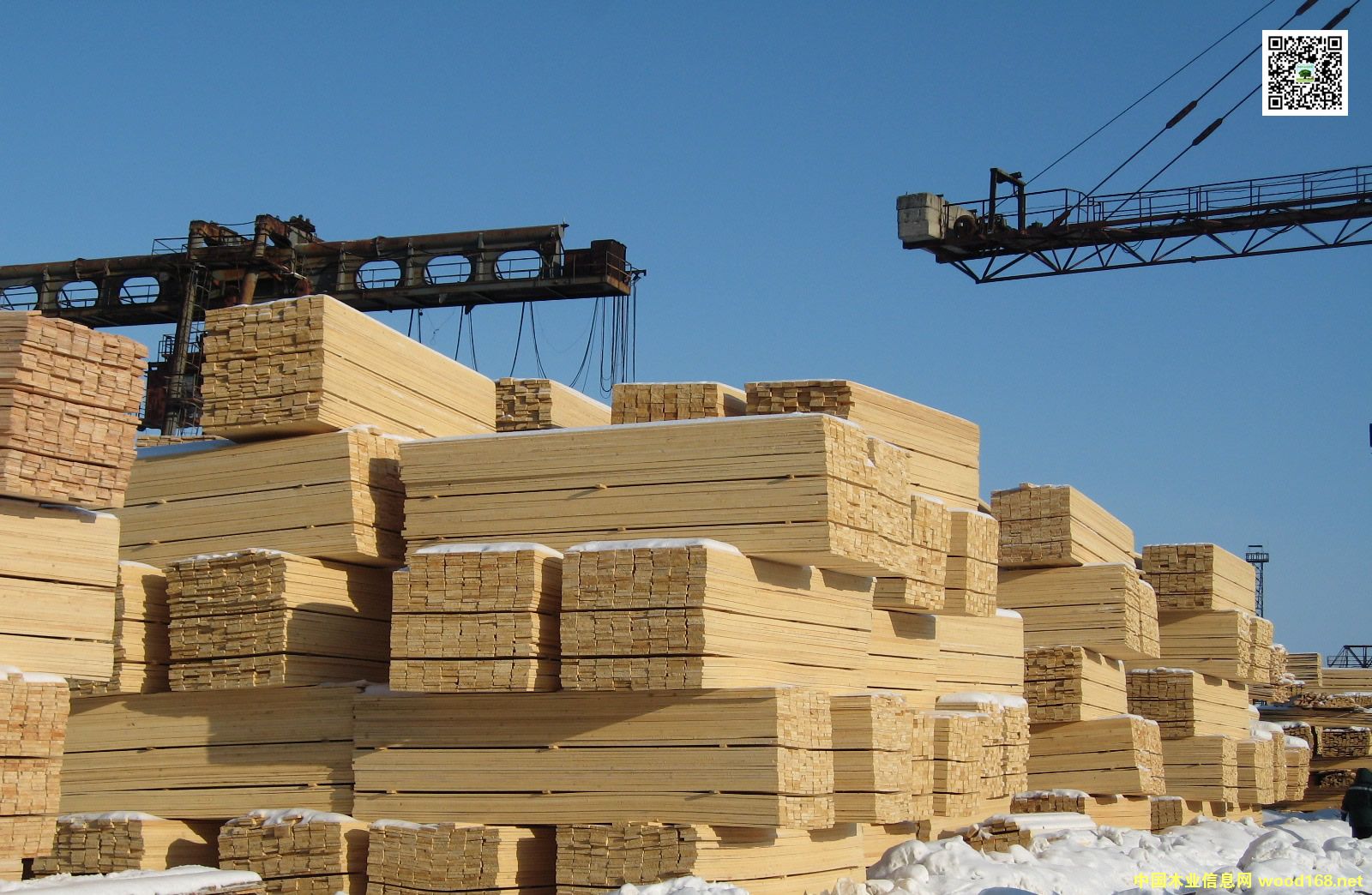 �½�����ɽ�ږ|��ľ�I(y��)�Q(m��o)�װ���䏲�