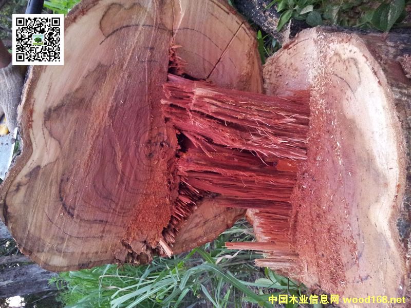 ��t��֦20���(n��i)�ѝq�ٱ���10���߀���ϝq30����