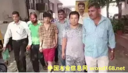 ӡ���µ���ľ����ٴΒ�ʎ��?sh��)�С�~��̴�_�l(f��)��