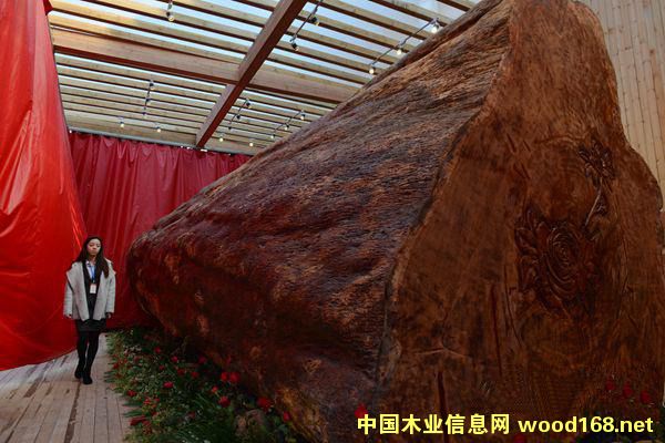 �������ľ�Ď׃ȁ�õ��� ֱ��3.2����62��