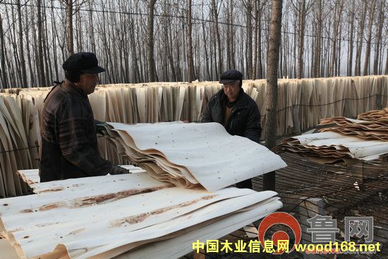 ɽ�|�R�ʣ�����ľƤ������ľƤ