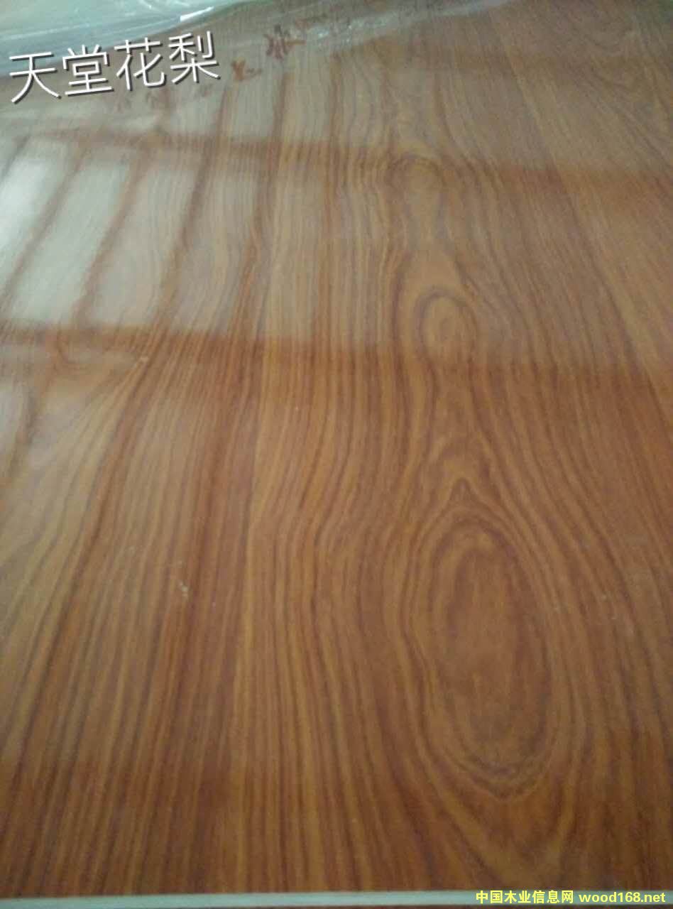 ���û����Ԕ����B