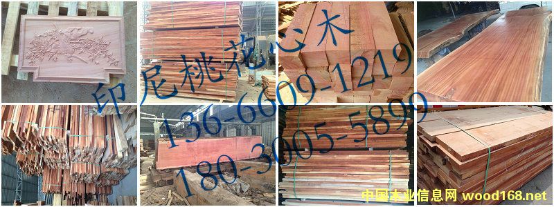 �һ�оľ�M�Dӡ