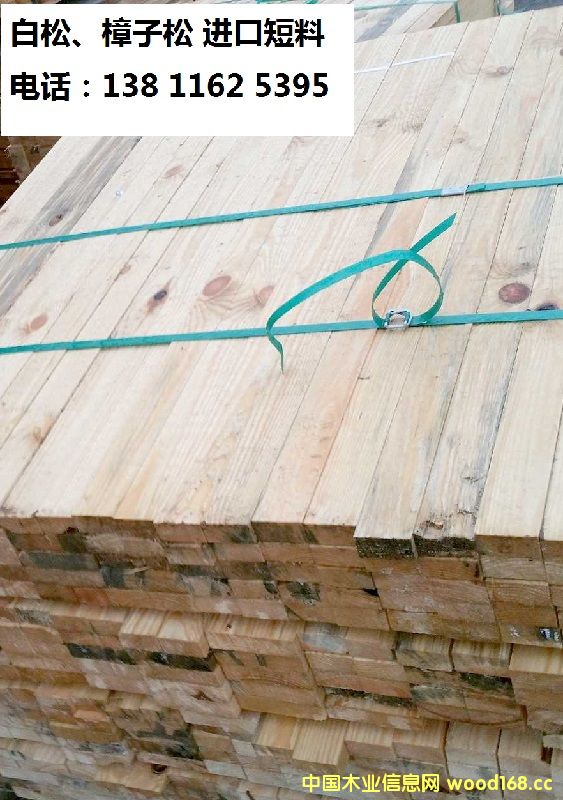 ���ɡ������ɶ���