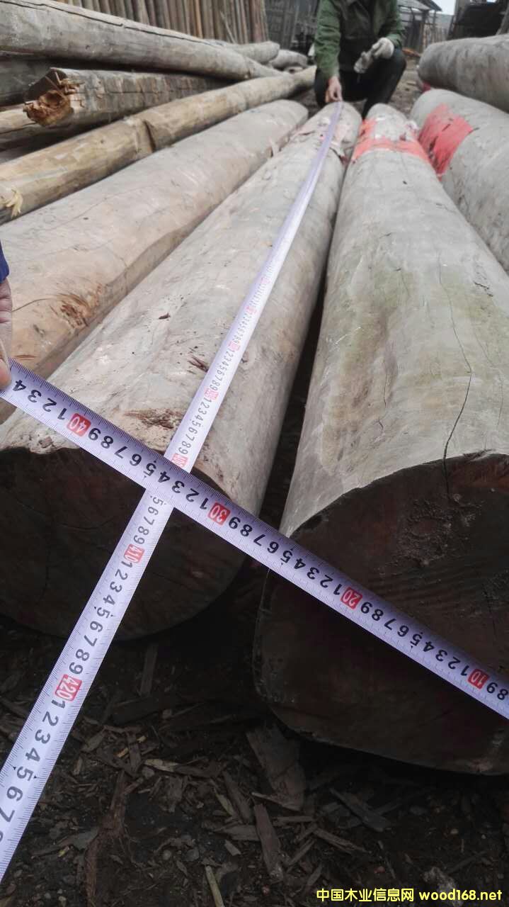 ����ľ��Ԕ����B