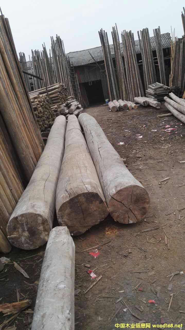 ľ��Ԕ����B