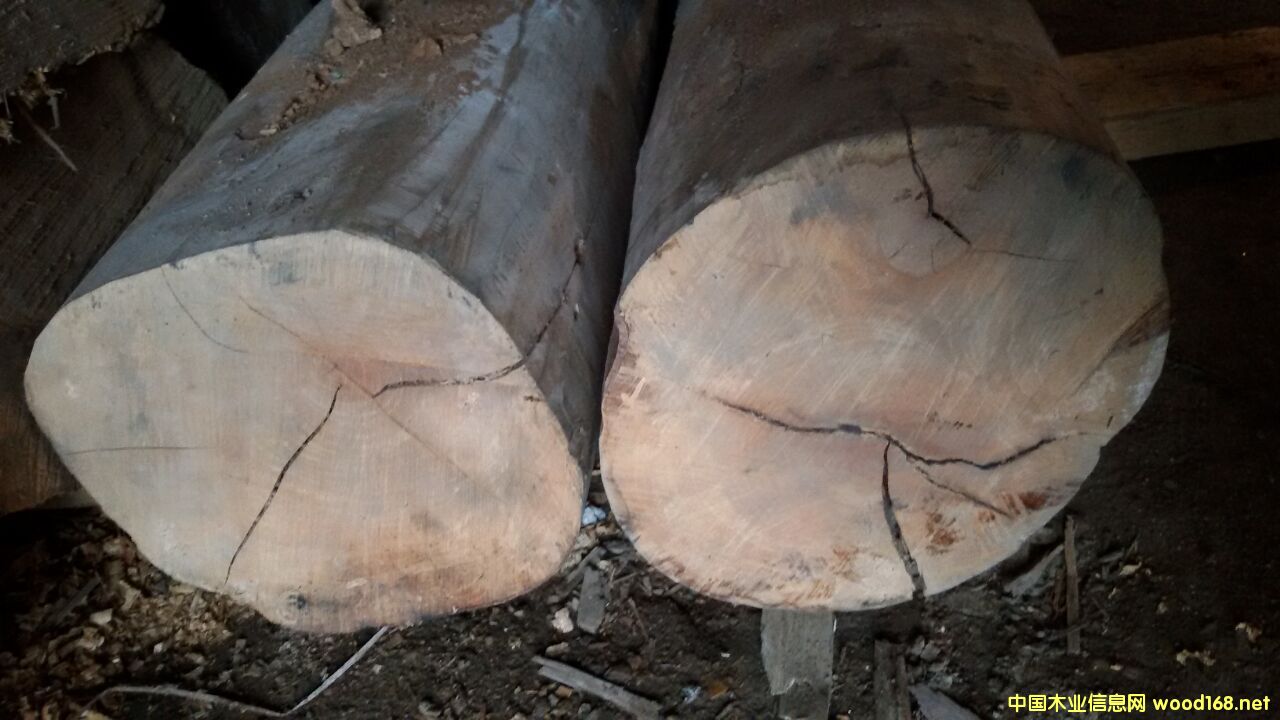 ����ľ��Ԕ����B