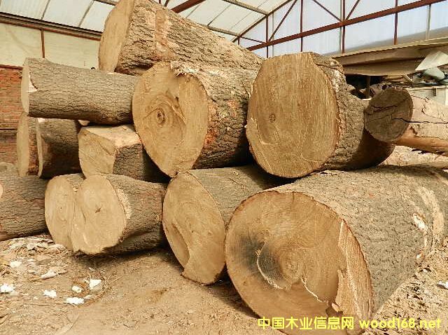 ɼԭľ��Ԕ����B