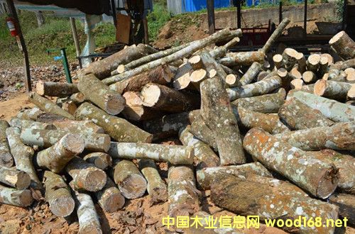 ���zľ��Ԕ����B