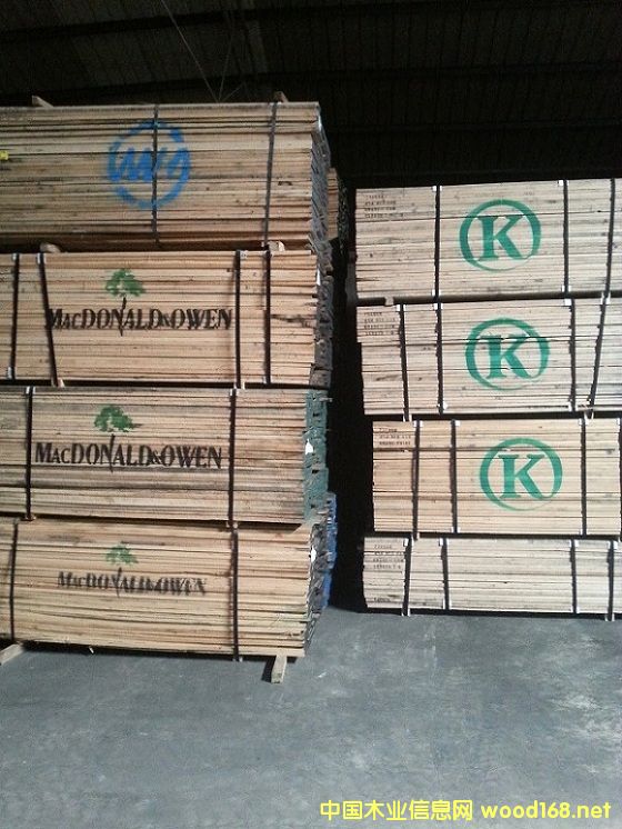 �t��-KLC��MOP