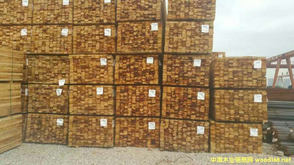 �M�ڽ���ľ�� �Fɼ��Ԕ����B