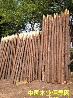 ��ľ����Ԕ����B