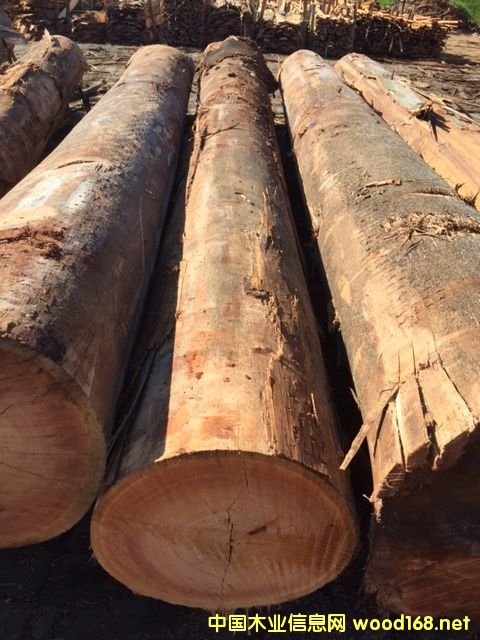 ������ľ��Ԕ����B