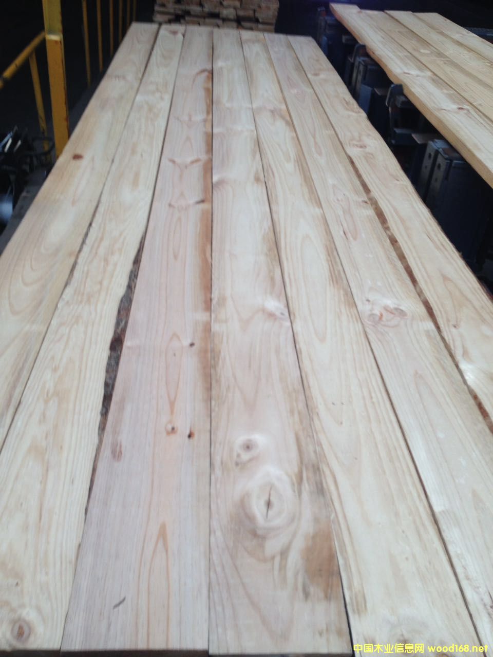 �����m��P99