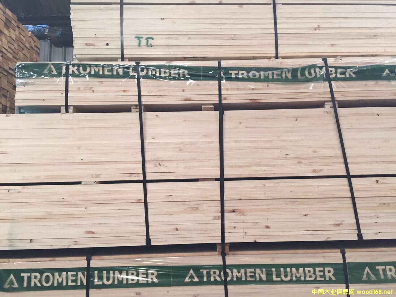 [��] ������TROMEN�M��ݗ���ɰ�ģ���؛��