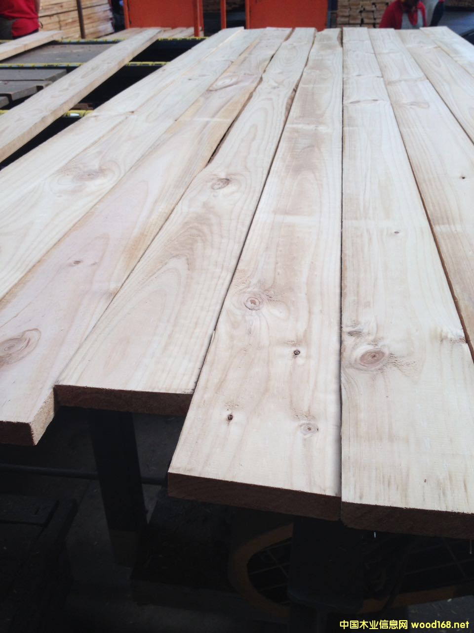 �~���m��P99