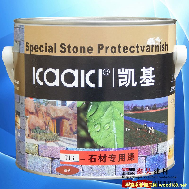 T13ʯ�Č�����