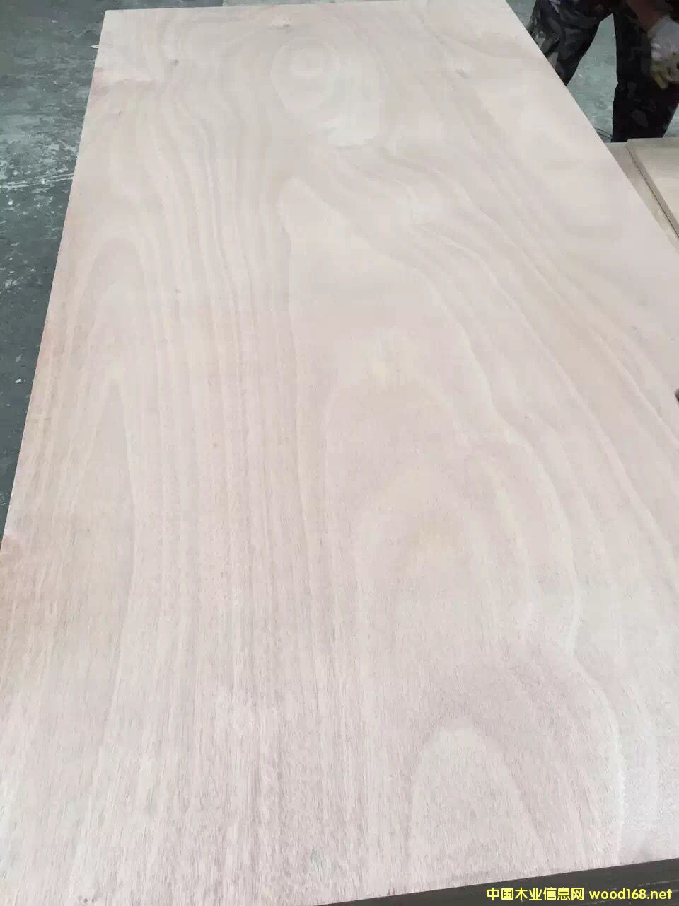 �c���鿴15�匍ľ���Ӱ�ϵ�зŴ�DƬ