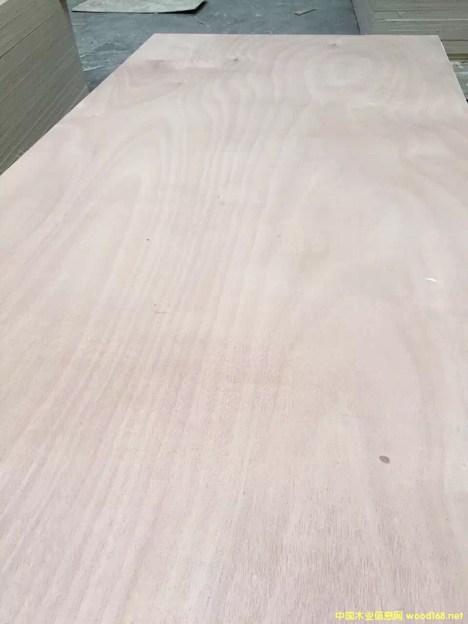 �c���鿴12���ľо�Ҿ߰� ��ˮϵ�зŴ�DƬ