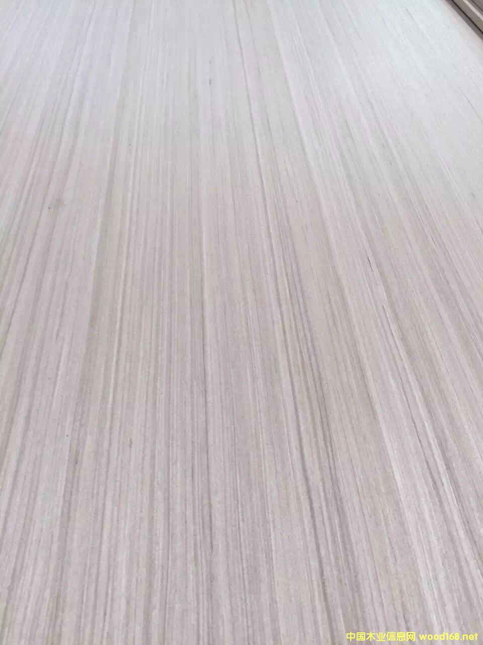 �c���鿴�������B��18�� ��ľ�Ŵ�DƬ