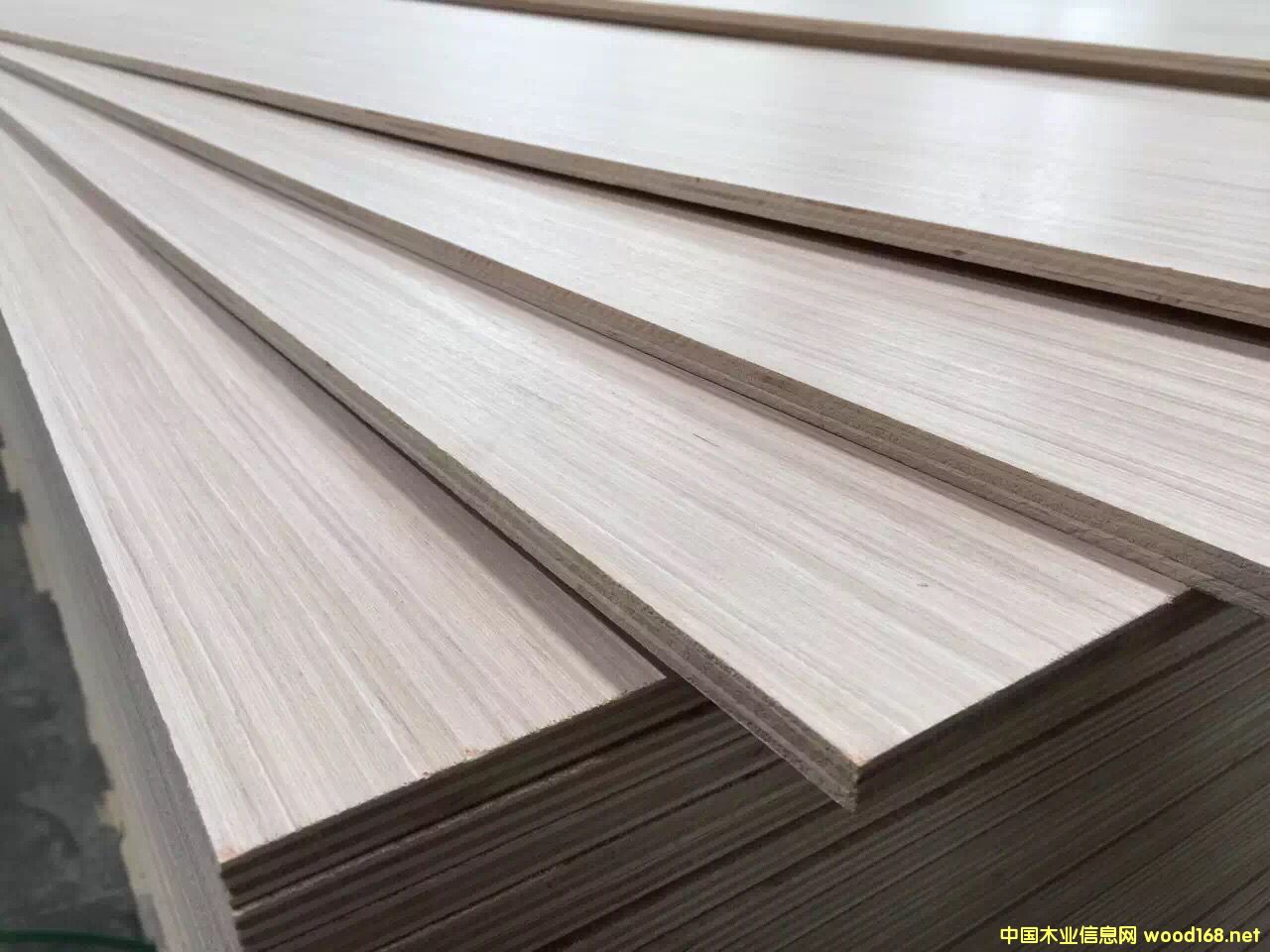 �c���鿴25����Ӱ�Ҿ߰�Ŵ�DƬ