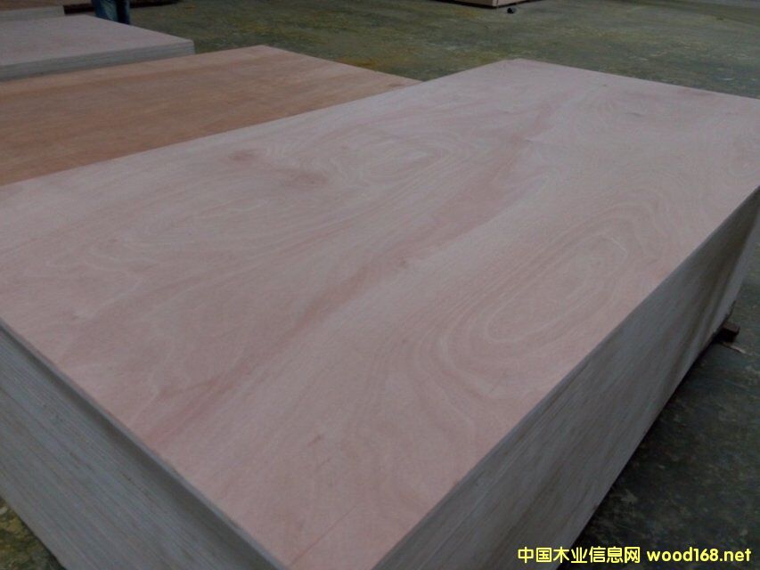 ���γ��Ͱ��b�� �h��E1