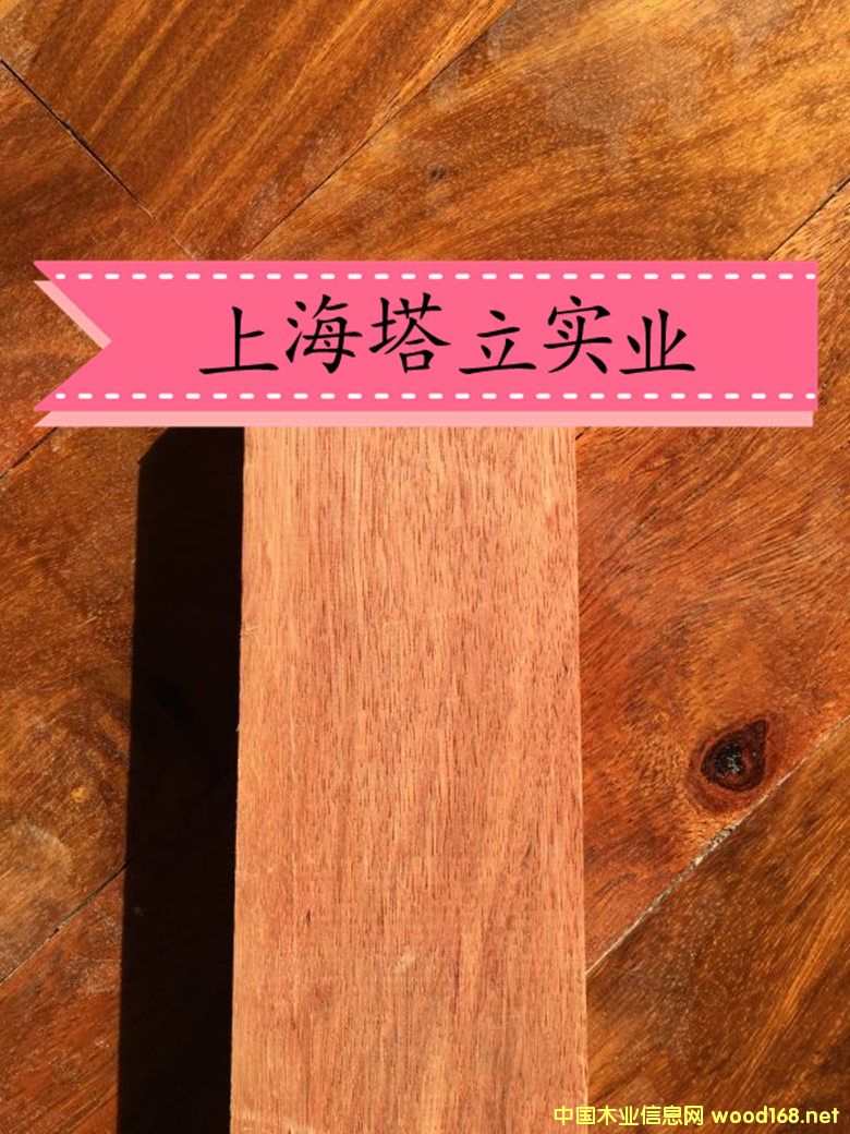 �t�������ľ�Ĉ@�־��^�����ذ��y����ľ�ڂ��ҵ�Ԕ����B