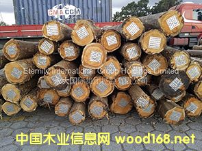 ������ľ