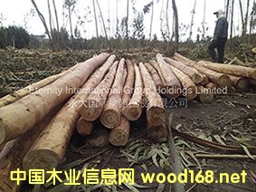 ��϶ࠖ��ľ��Ԕ��(x��)��B