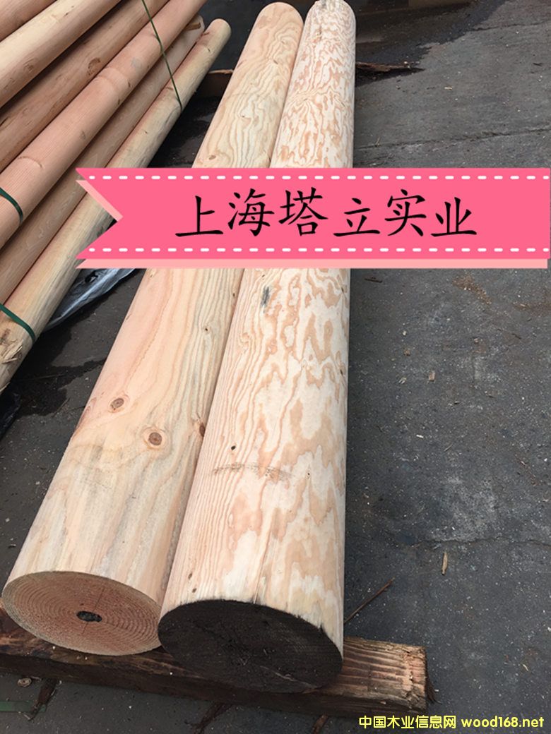 �����ɷ���ľ���^Ҏ(gu��)��