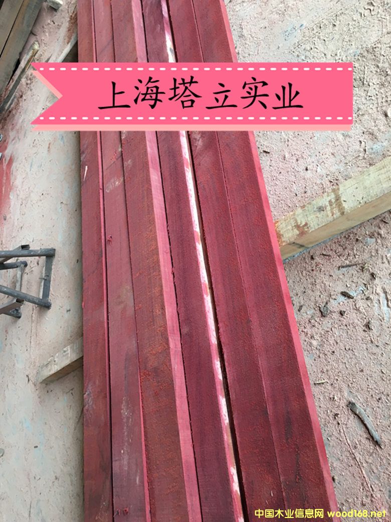 �t��ľ �t�̈́�ľ����ذ�@�־��^����ľ�ĵ�Ԕ����B