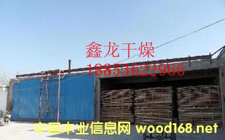 ������Ԕ����B