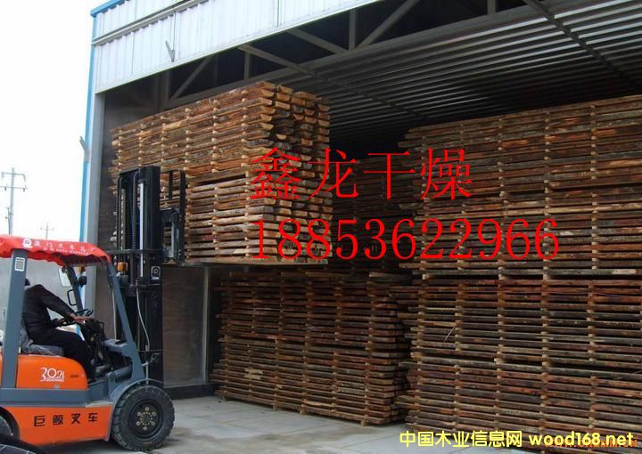 ������Ԕ����B